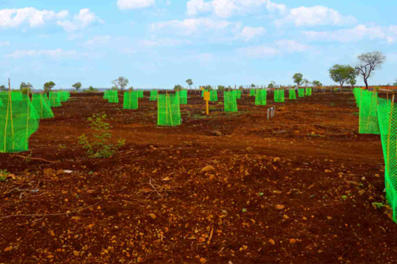 sampangi infra treasue vally 4