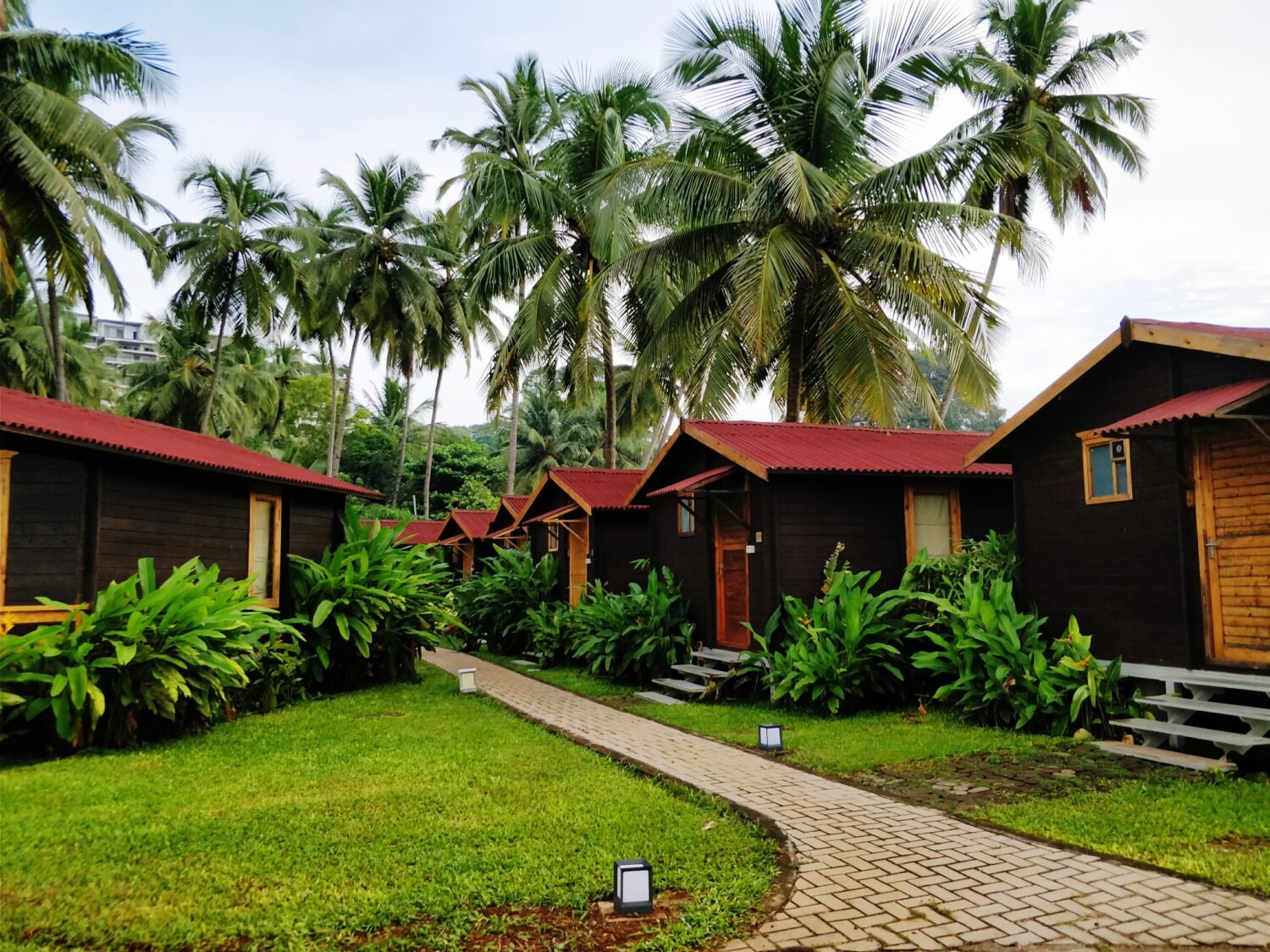 palm-trees-against-sky-1-1500x1125