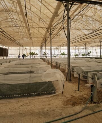 sampangi-infra-Dr-ramesh-Sampangi-with-clone-biotech-date-3-360x432