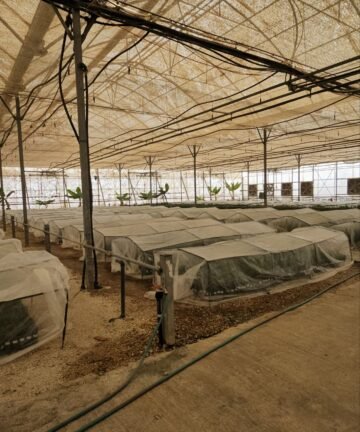 sampangi-infra-Dr-ramesh-Sampangi-with-clone-biotech-date-4-360x432