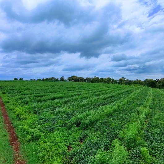 sampangi-infra-golden-valley-2-