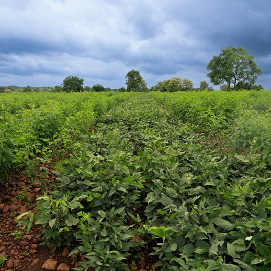 sampangi-infra-golden-valley-4-